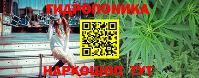 PSILOCYBIN Бугуруслан