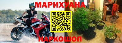 PSILOCYBIN Бугуруслан