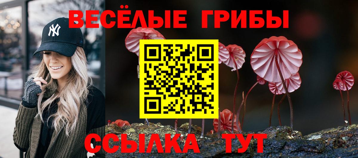 Галлюциногенные грибы Cubensis Корсаков